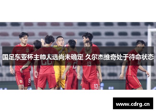 国足东亚杯主帅人选尚未确定 久尔杰维奇处于待命状态