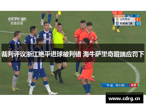 裁判评议浙江绝平进球被判错 海牛萨里奇蹬踹应罚下